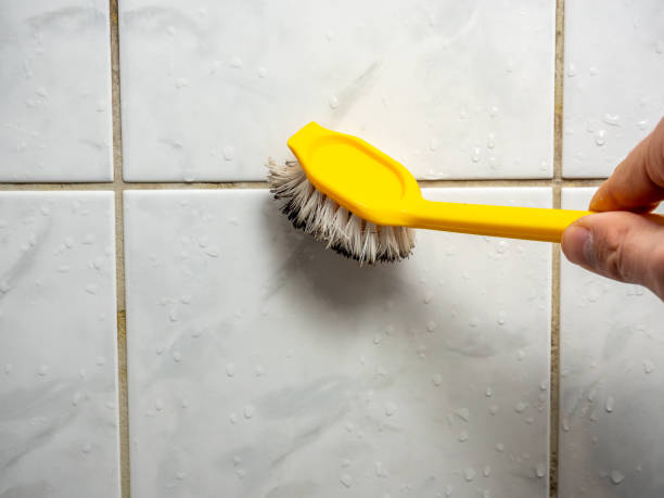 Best Mold Removal Near Me  in Red Chute, LA