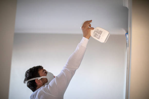 Red Chute, LA Mold Removal Company